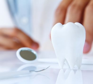 Model tooth and dental tool on tabletop